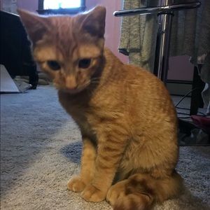 Meet your Posher, Lea